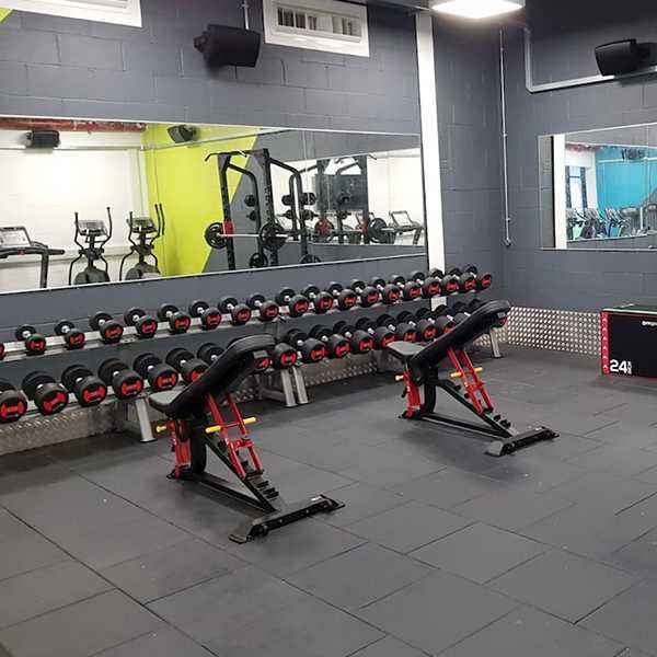 Sterling Series, Adjustable Bench