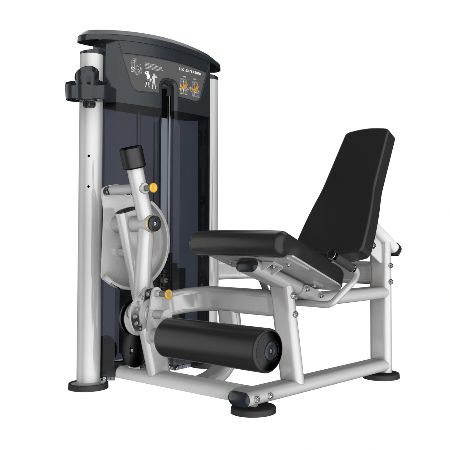 Perform Series, Leg Extension
