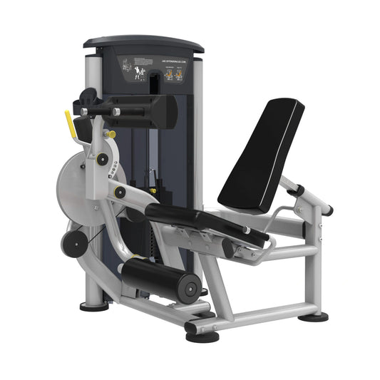 Perform Series, Leg Extension / Leg Curl