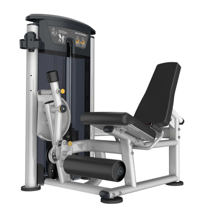 Perform Series, Leg Extension
