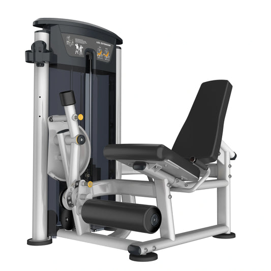 Perform Series, Leg Extension