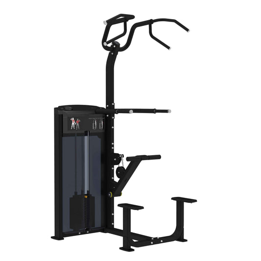 Pro Series, Assisted Chin / Dip