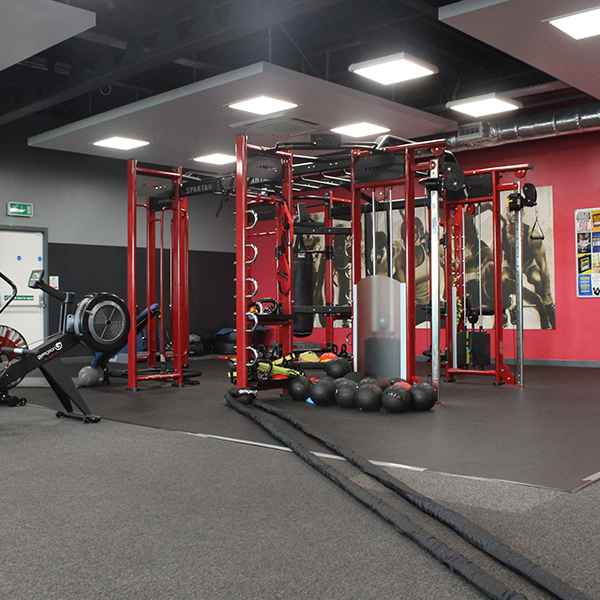 Spartan Functional Rig